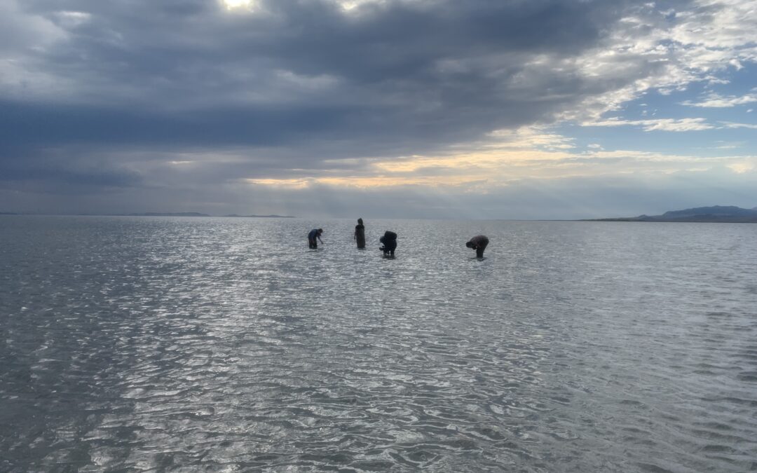 People wading in the shallow waters of Great Salt Lake.